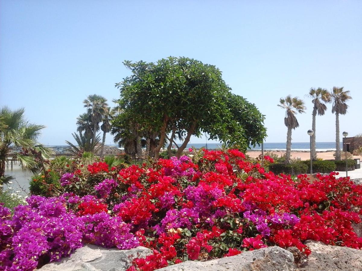 Appartamento Sol Y Luz Caleta De Fuste Esterno foto
